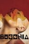 oxgsAQDAAxA92mFGYCZllgWkH9J